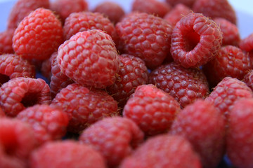 sweet red raspberries