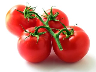 cluster of red tomatoes