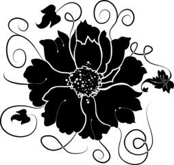 Fond de fleur, élément de conception, illustration vectorielle