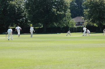 Obraz premium Cricket match
