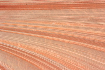 Sandstone, roche de l'Utah, West USA