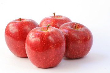 Fototapeta na wymiar kasztanowiec jabłka gala royal szczep