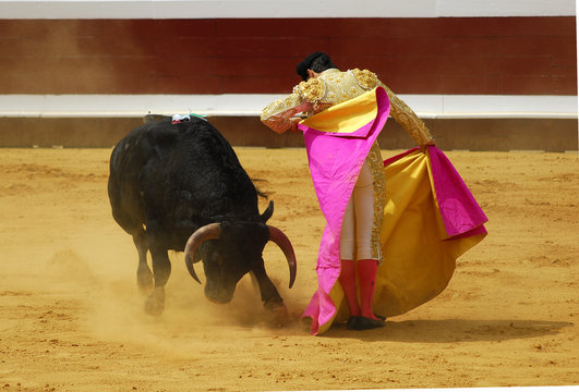 TORO 003