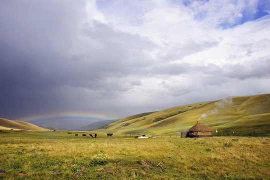 rainbow lieves here