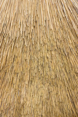 Reed Thatch