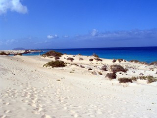 Fototapeta na wymiar Strand Fuerteventura