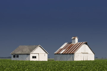 Farm Buildings