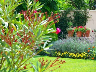 Jardin coquet avec laurier rose