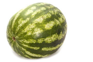 water-melon