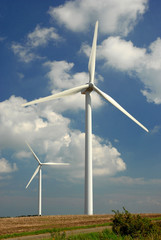 Fototapeta premium Windräder