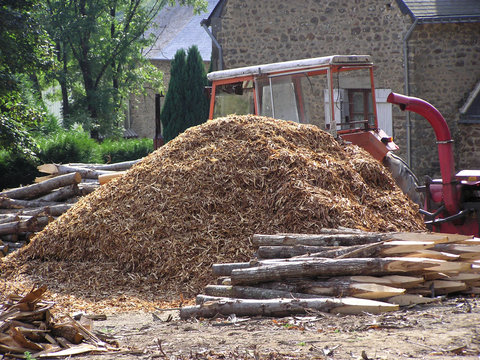 1500 - Travaux forestiers, broyage de branches