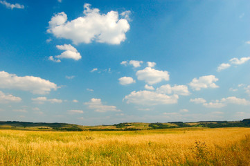 A summer outdoor scene, sky and clouds