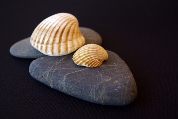 Stones and Seashells