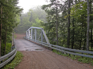 Woodland Bridge