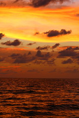 Fototapeta na wymiar orange sunset in florida