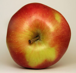 Apfel