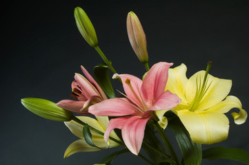 Bouquet of lilies 1