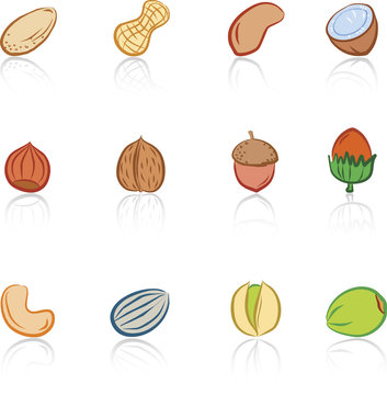 Nuts 1