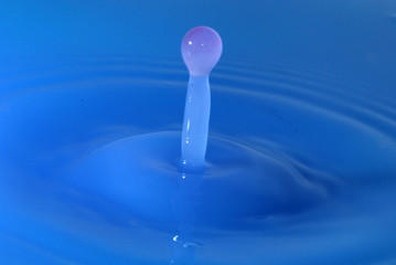 Bouncing water droplet on the water surface