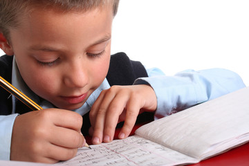 Elementary / Primary School boy
