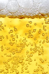 Zelfklevend Fotobehang Close up of beer © Rade Lukovic