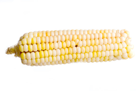  Corn isolated on white