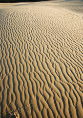 Sand