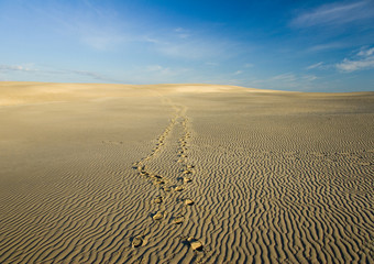Sand