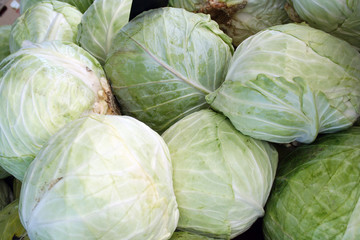 Fototapeta na wymiar Heads of Cabbage