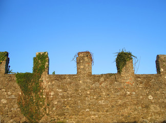 Old crenellated wall