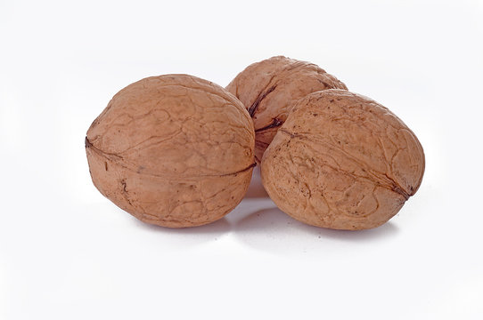 รูปภาพRosopsida เลือกดูภาพถ่ายสต็อก เวกเตอร์ และวิดีโอ295 Adobe Stock