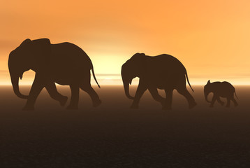 Plakat 3D render of a Group of elephant in africa