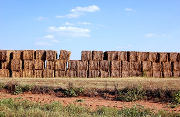 Bales of Hay