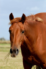 Obraz premium qui me demande ?