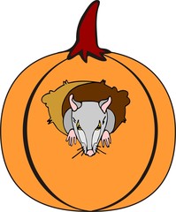 The mouse (or the bat) in the pumpkin