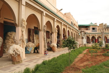 Sheep wool in street of Mekness