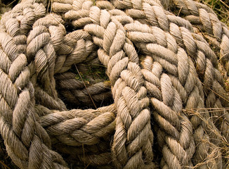 Old Rope