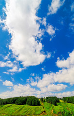 Landscape with green fields and blue sky