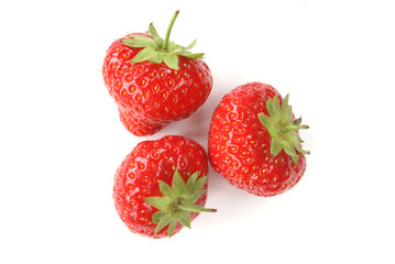 erdbeeren2