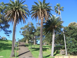 Farm Cove - Sydney