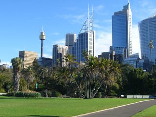 Farm Cove & Sydney Skyline