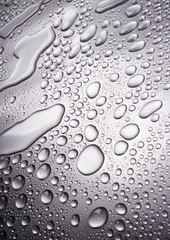 Wet background