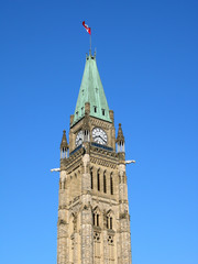 Fototapeta na wymiar Canadian Parliament Building in Ottawa, mid view of Peace Tower