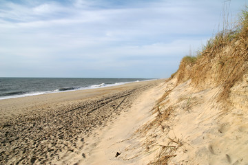 Ocean and Sand Dunes