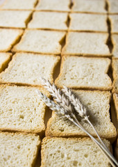 Crispbread