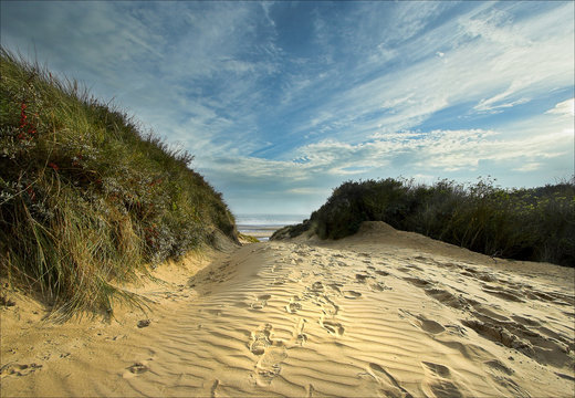 Path to the sea