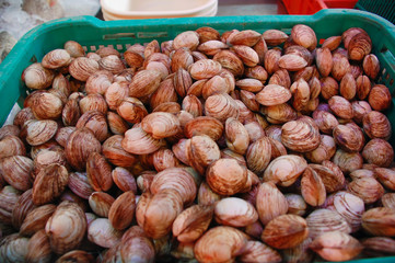 white clams