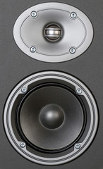 Tweeter and Mid-range, close view