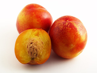 nectarines