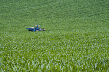 Blue tractor
